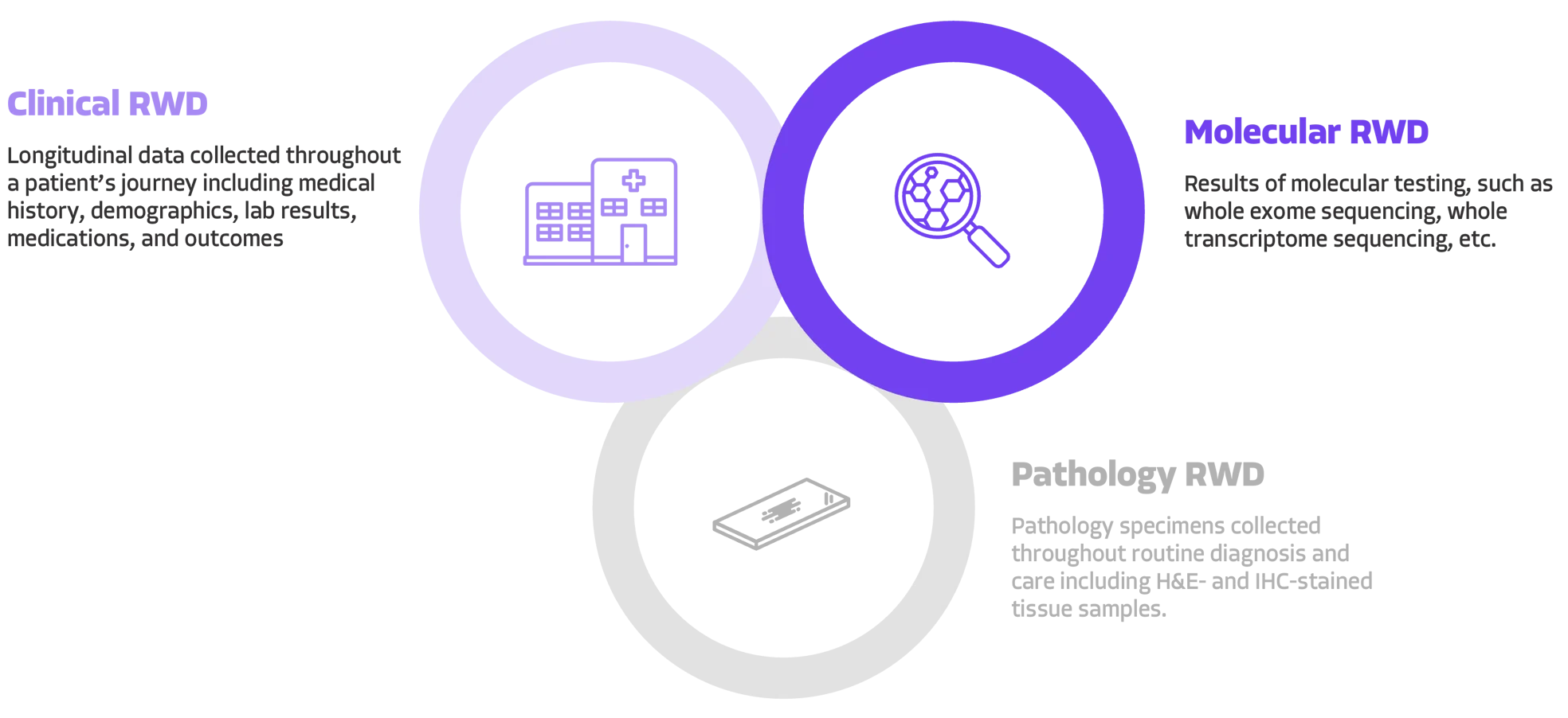 Media Rwd Real-World Data and Real-World Impact