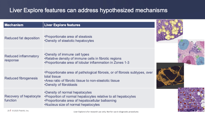 MASH biomarker discovery