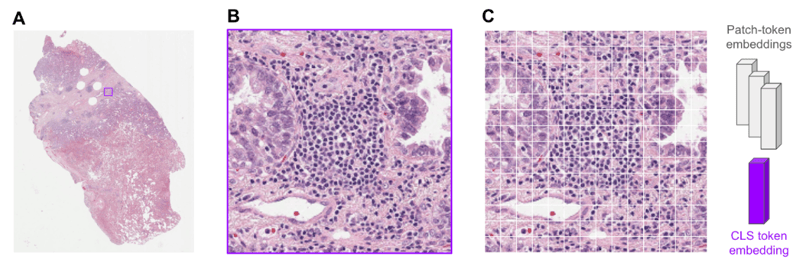 Screenshot 2025-11-20 at 4.37.36 PM