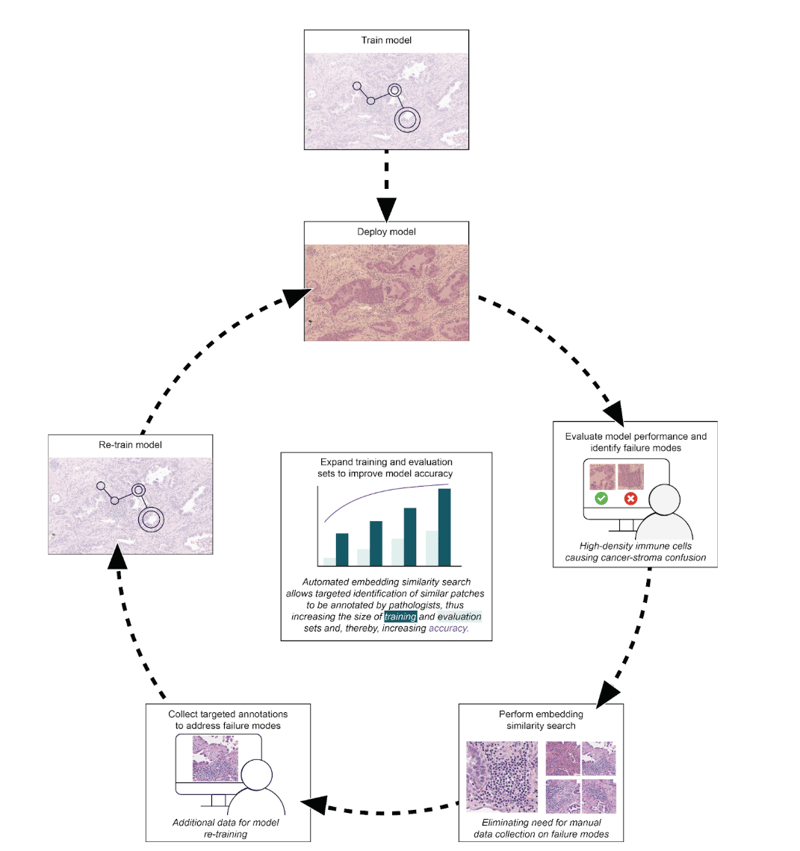 Screenshot 2025-11-20 at 4.41.09 PM