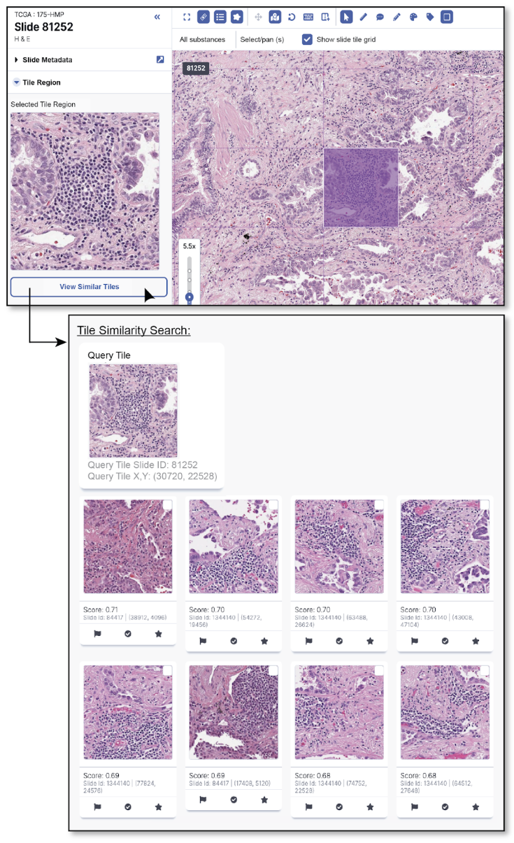 Screenshot 2025-11-20 at 4.42.33 PM