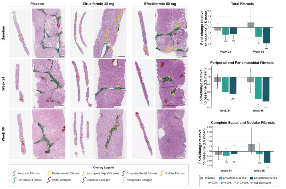 Screenshot 2025-11-25 at 4.03.39 PM