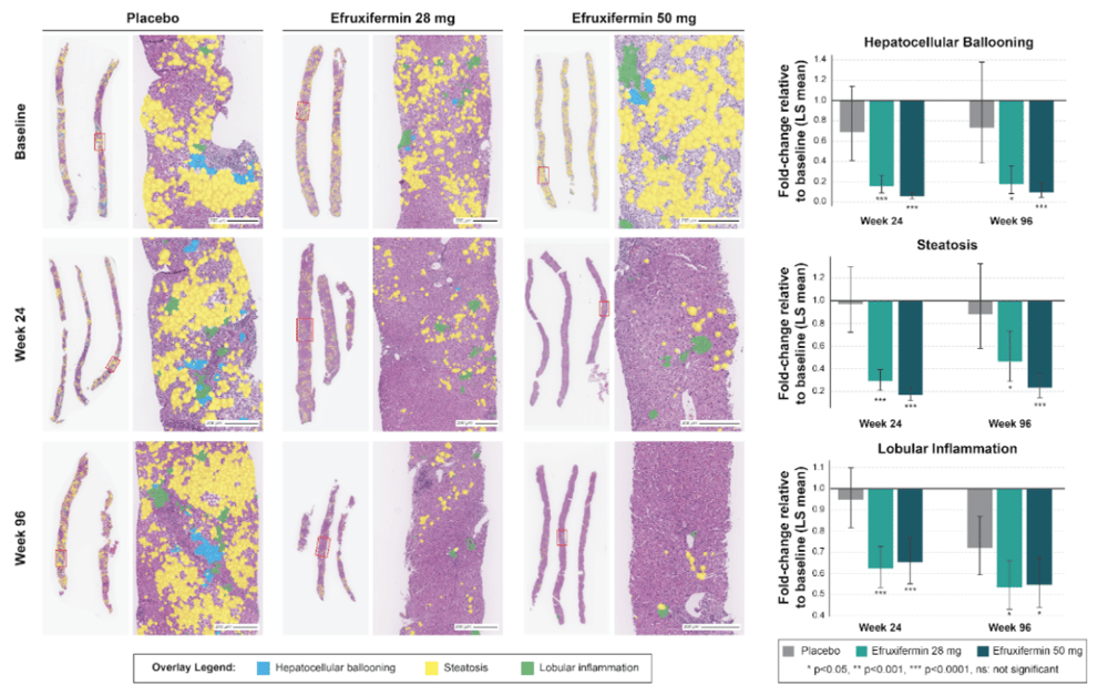 Screenshot 2025-11-25 at 4.12.58 PM