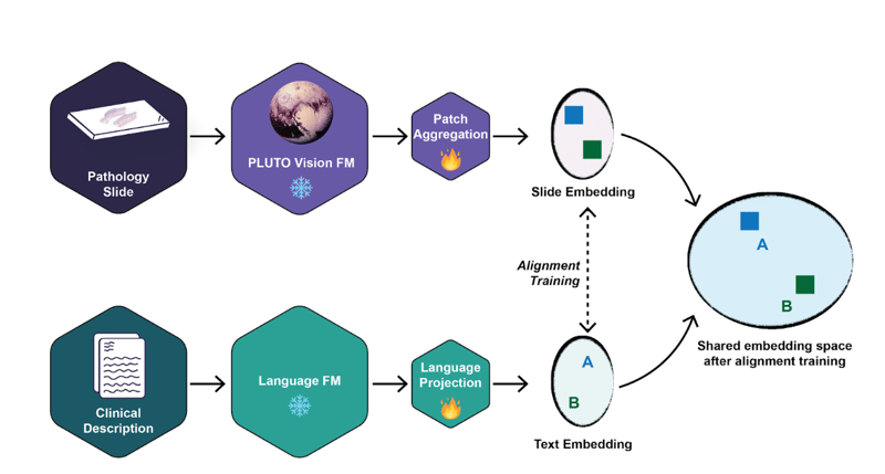 Screenshot 2026-04-01 at 12.43.35 PM