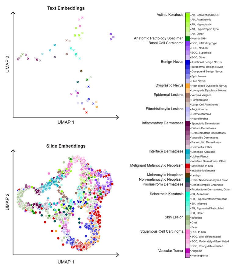 Screenshot 2026-04-01 at 12.45.28 PM