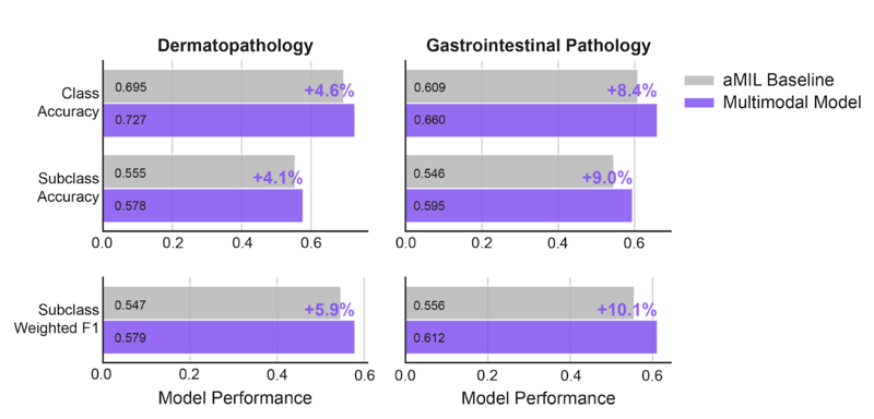 Screenshot 2026-04-01 at 12.47.32 PM