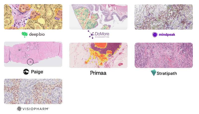 Screenshot 2026-04-29 at 11.08.16 AM