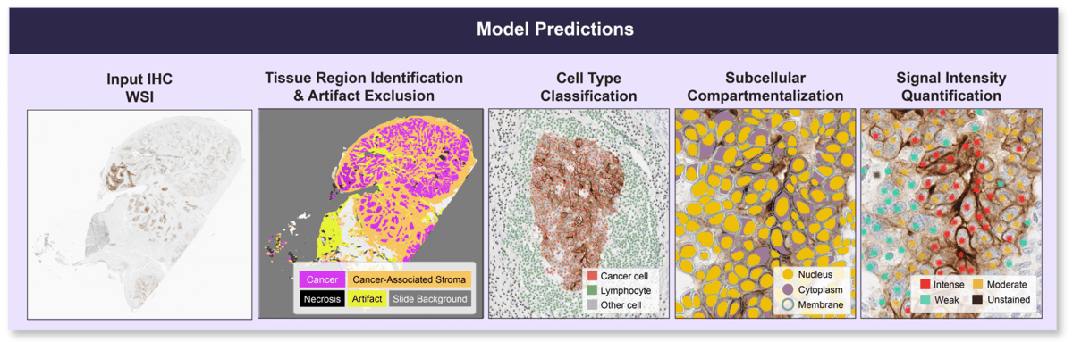 Screenshot 2026-04-29 at 11.20.12 AM