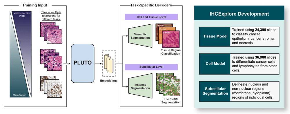 Screenshot 2026-04-29 at 11.23.18 AM