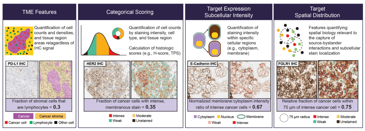 Screenshot 2026-04-29 at 11.30.01 AM