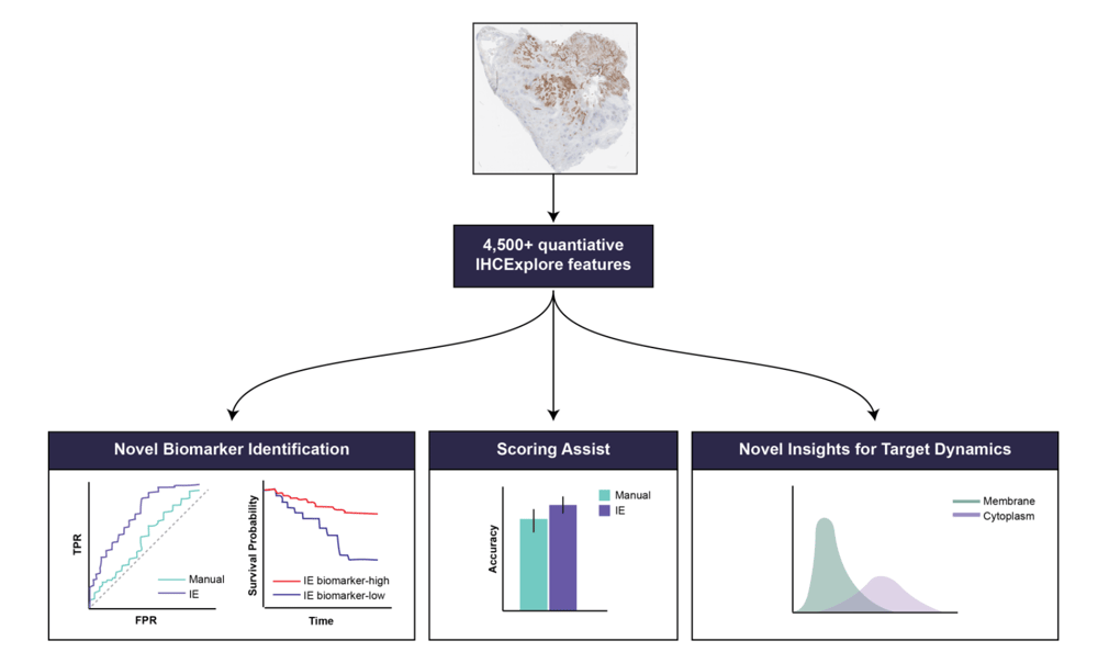 Screenshot 2026-04-29 at 11.31.30 AM