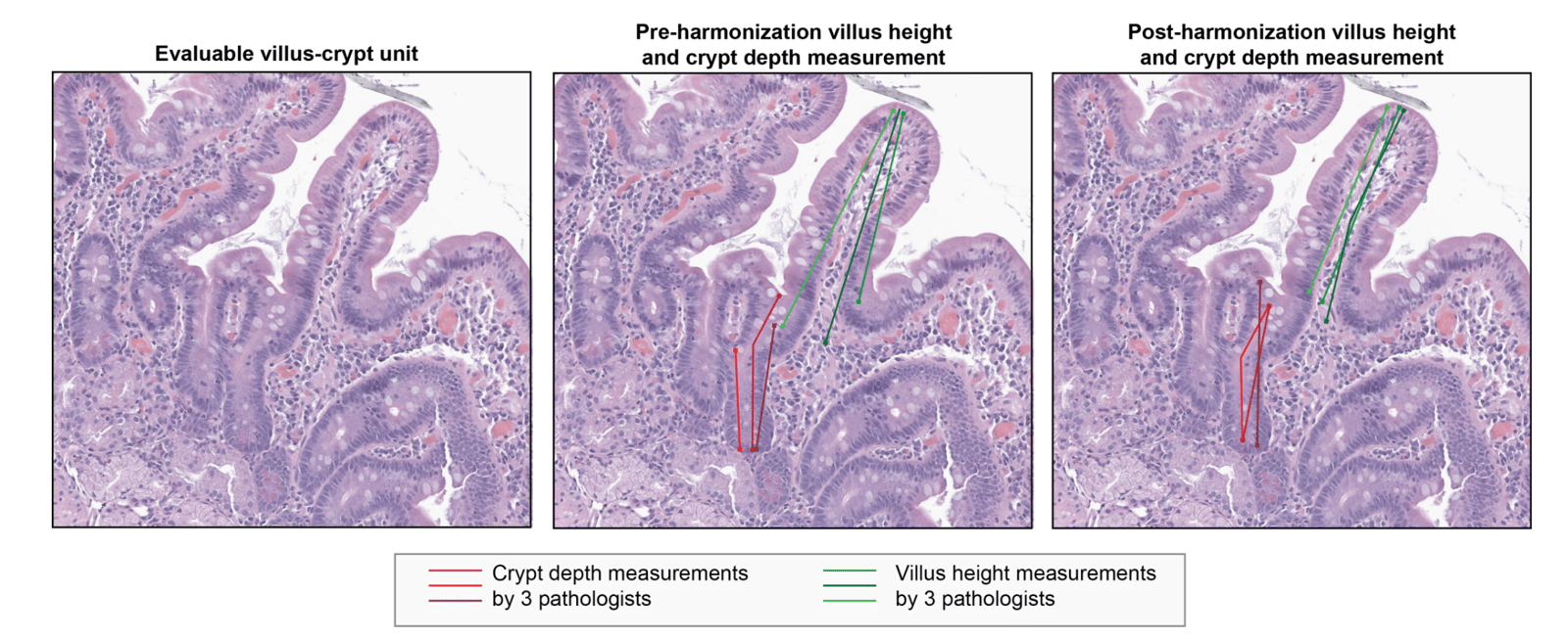 Screenshot 2026-04-29 at 12.09.03 PM