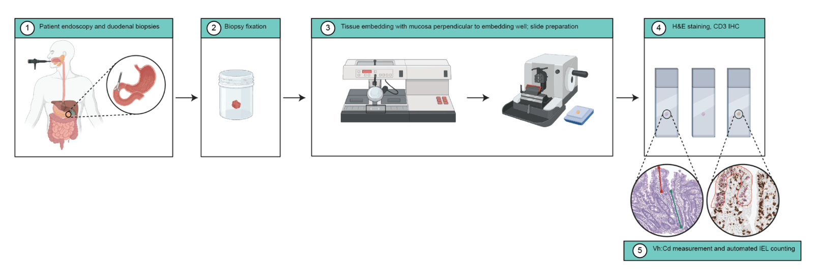 Screenshot 2026-04-29 at 12.13.07 PM