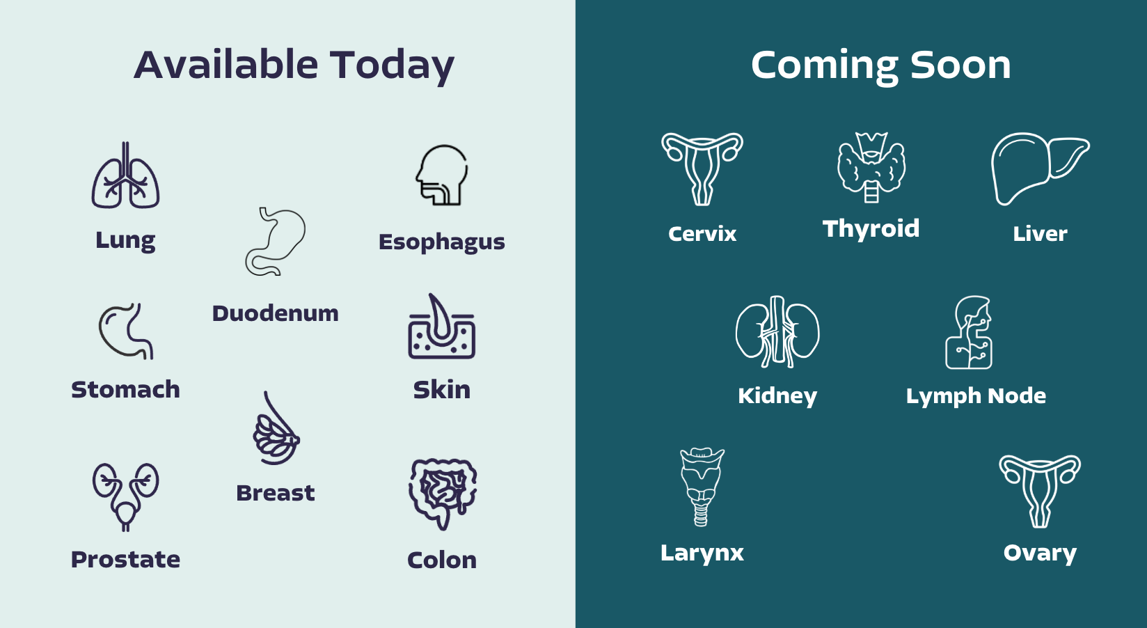 Solutions For Detecting Suspected Cancerous Solid Tumors