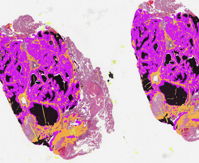 Untitled (685 x 561 px)