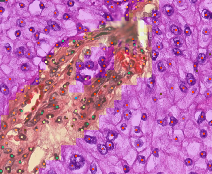 2-Nov-05-2025-08-08-25-5770-PM