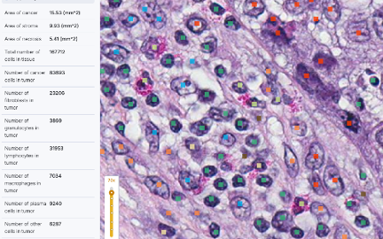 Cell-Level Biomarkers