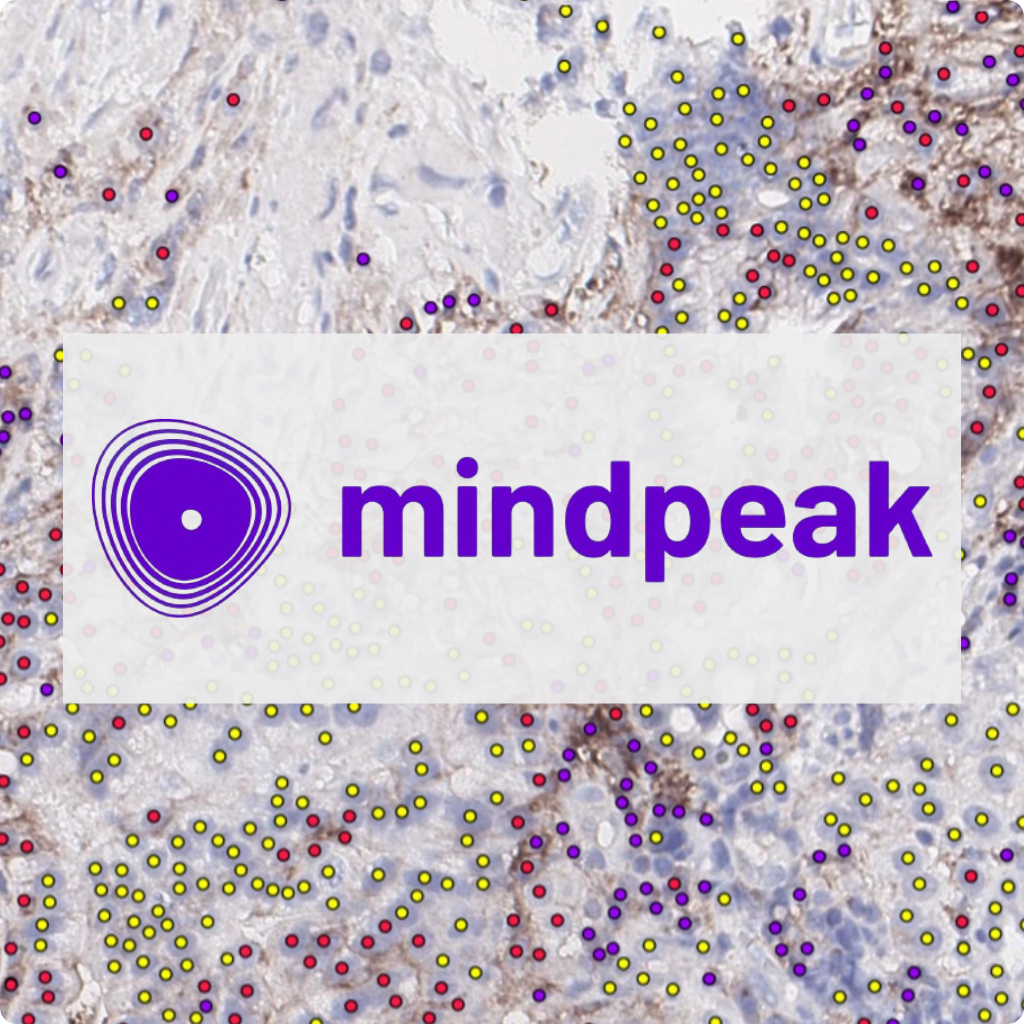 MindPeak Logo