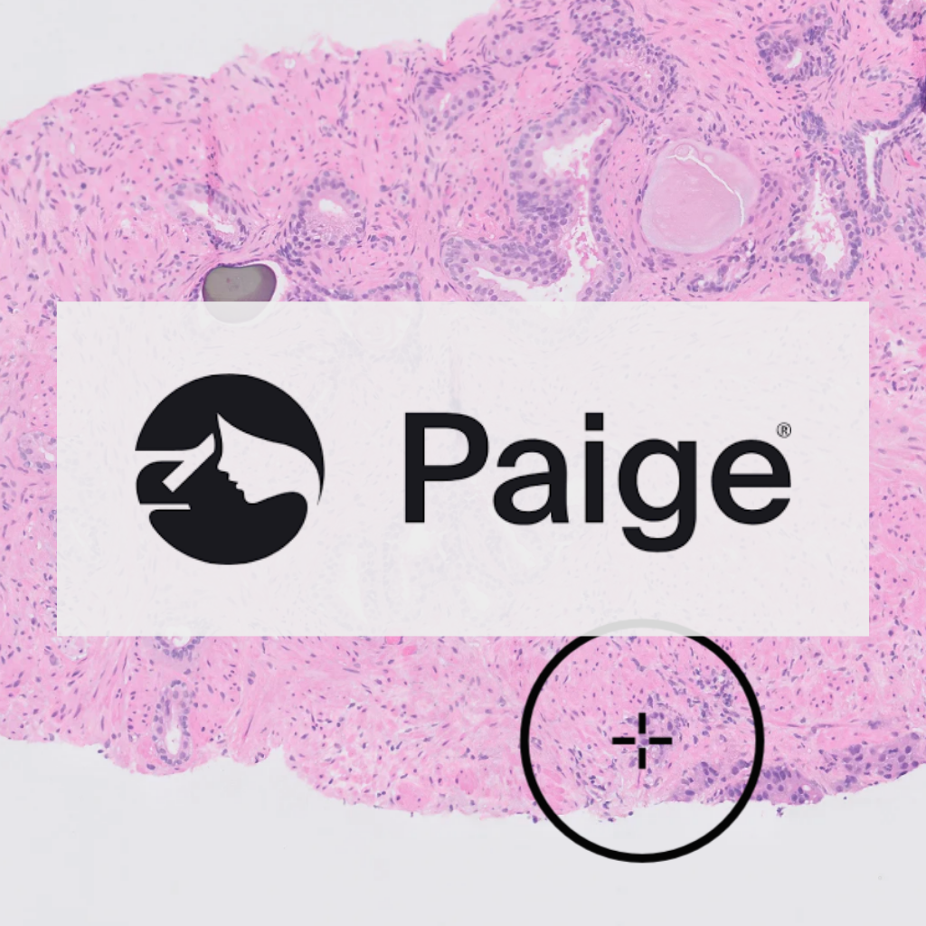 Paige Logo