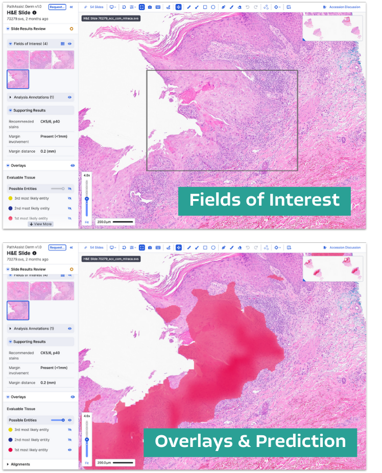 PathAssist Derm Workbook copy 2 PathAssist Derm Workbook copy 2