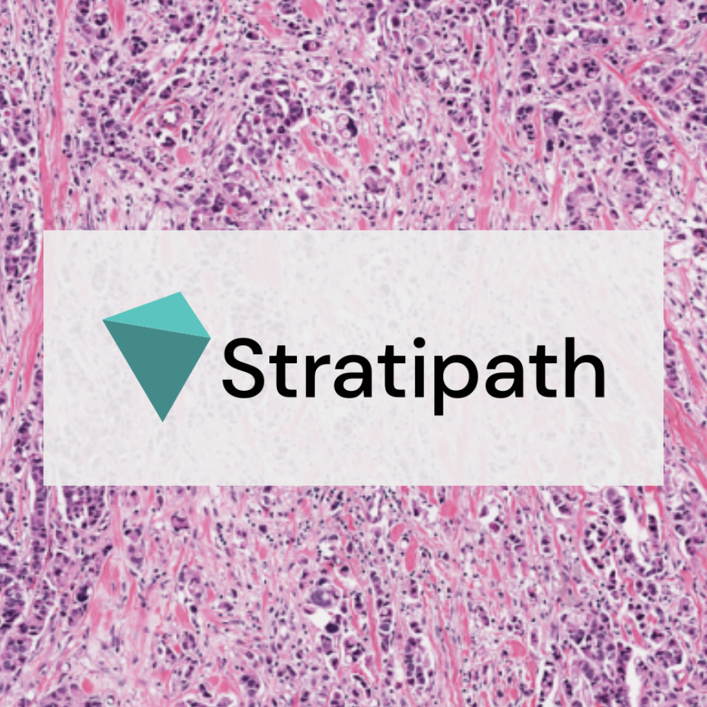 Stratipath Logo