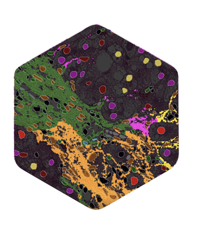 hex-aiproduct-nashexplore-400