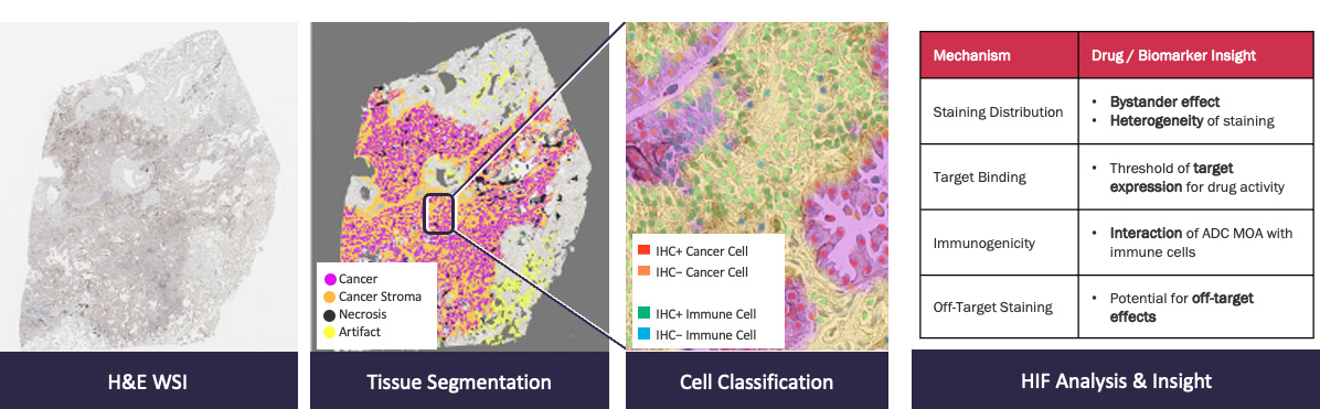 pathexplore-ihc-features